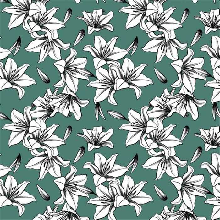 Canvas Lily Canvas Lily