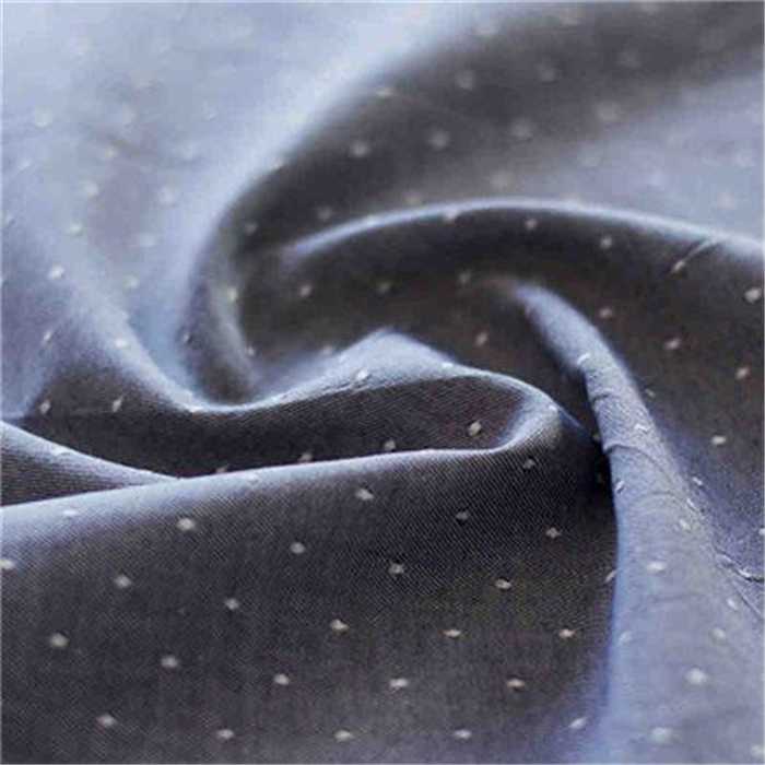 Chambray à pois Violette Bio Chambray à pois Violette Bio