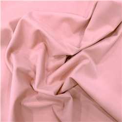 Gabardine Rose