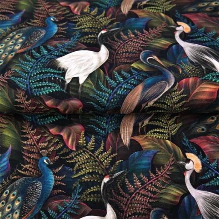 Jersey de coton Peacock and friends