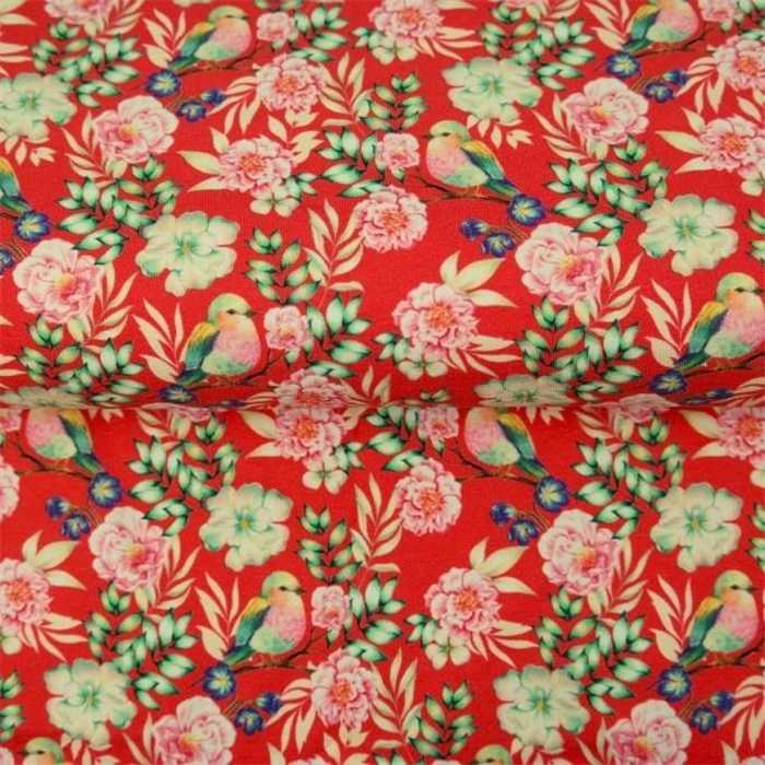 Jersey de coton Spring Birds Jersey de coton Spring Birds