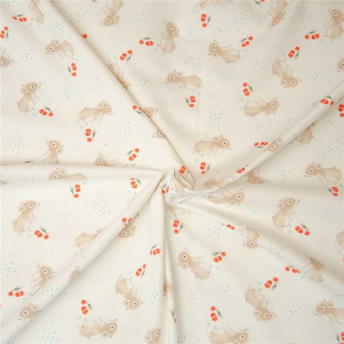 Jersey Mini Mausi - Coupon de 90 cm Jersey Mini Mausi - Coupon de 90 cm