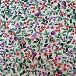 Popeline de coton You are what you eat