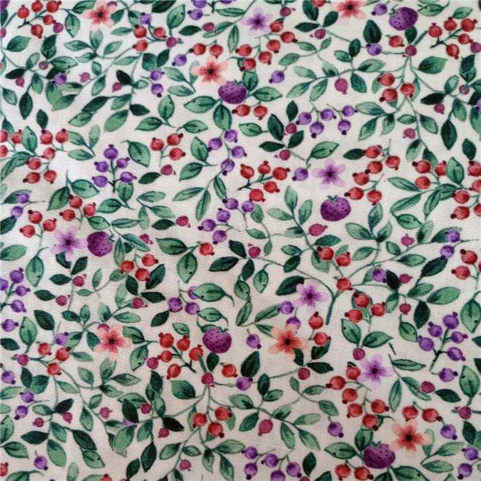 Popeline de coton You are what you eat Popeline de coton You are what you eat